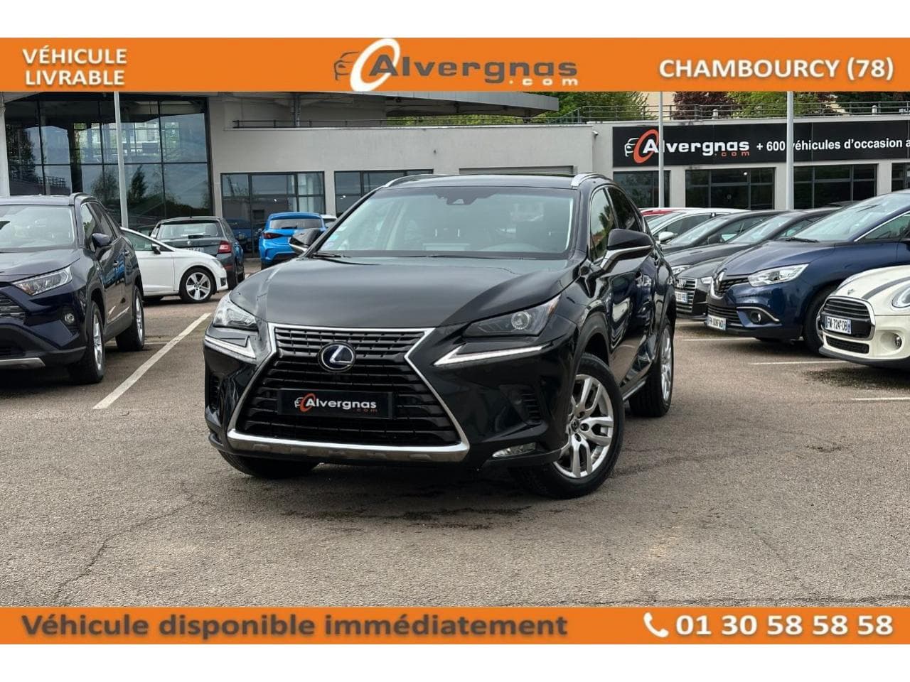 (2) 300H LUXE 4WD AUTO