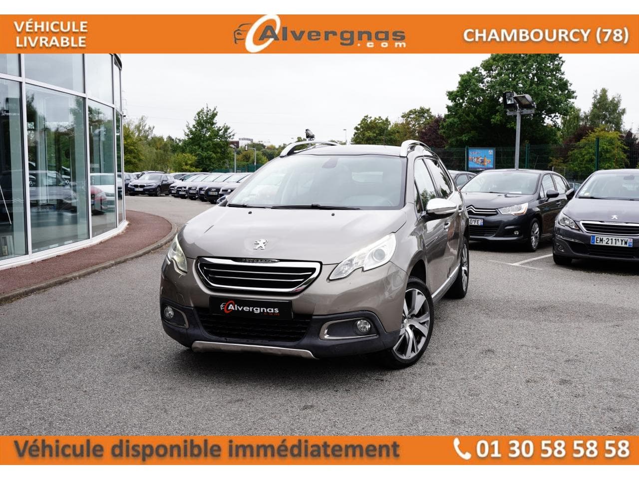 1.6 E-HDI 92 FELINE TITANE