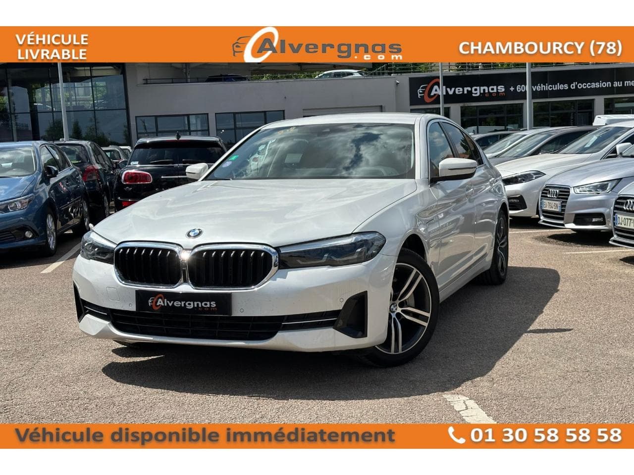 (G30) (2) 530E TWINPOWER TURBO 292 BUSINESS DESIGN BVA8