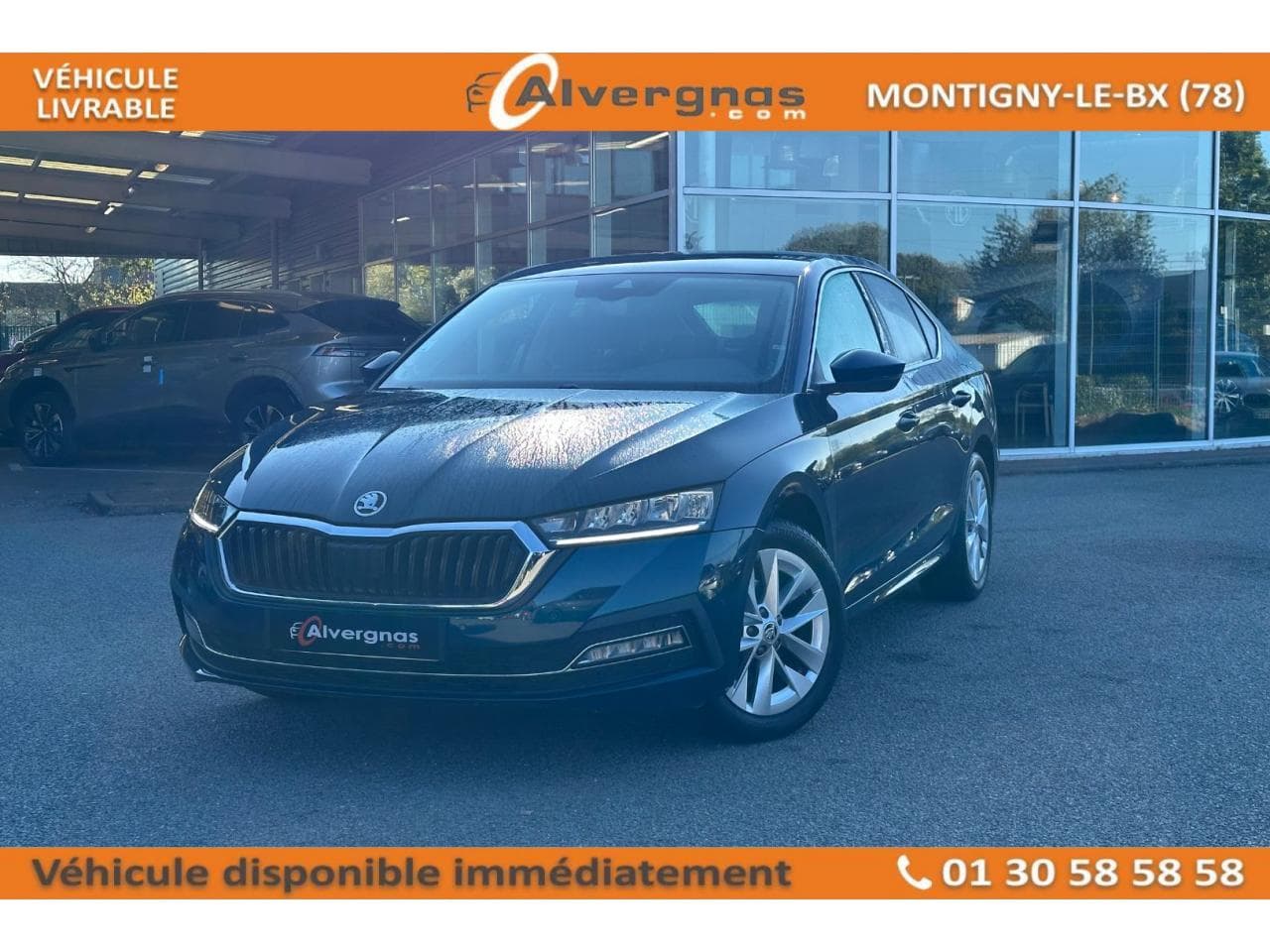 IV 1.0 TSI MHEV E-TEC 110 STYLE DSG7