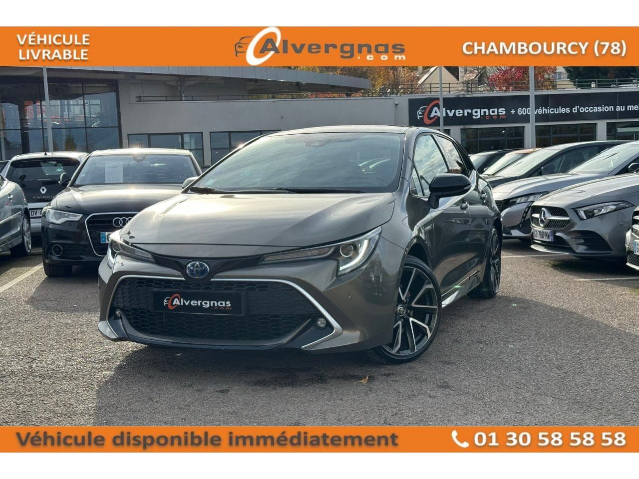 XII HYBRIDE 184H COLLECTION