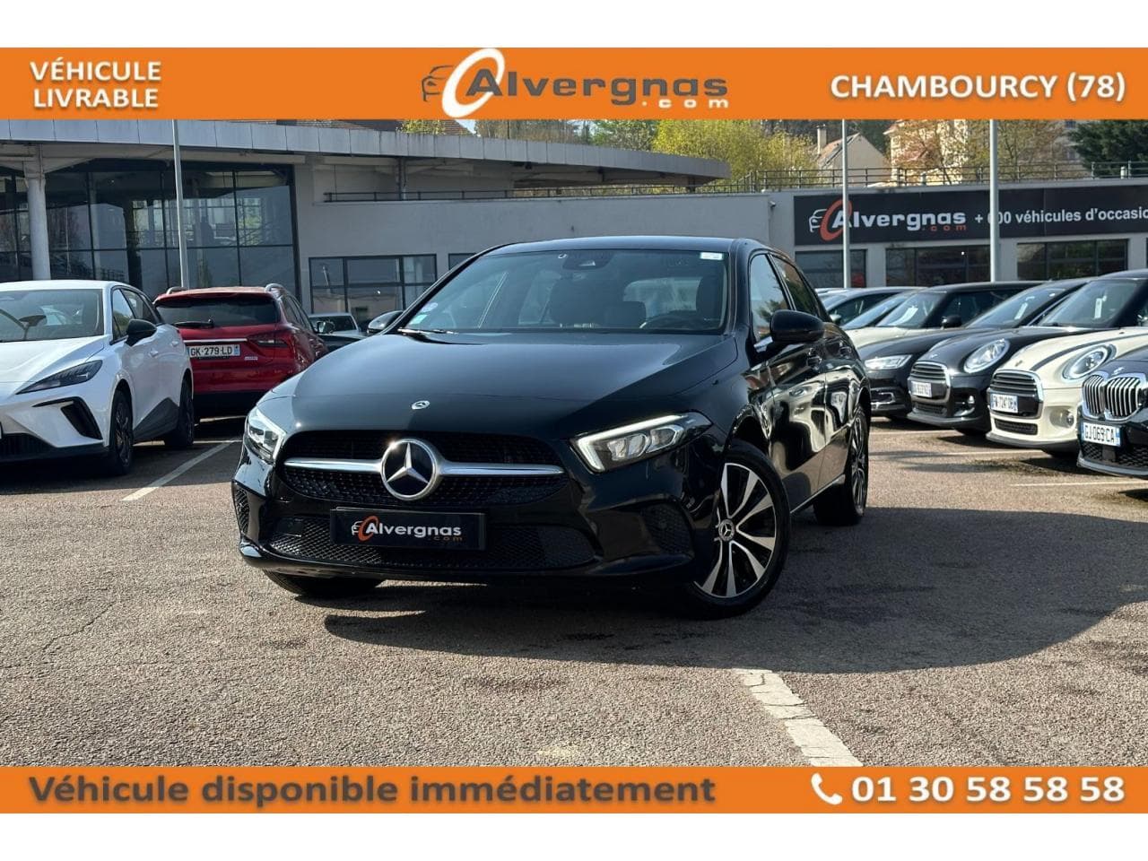 IV 250 E BUSINESS LINE 8G-DCT