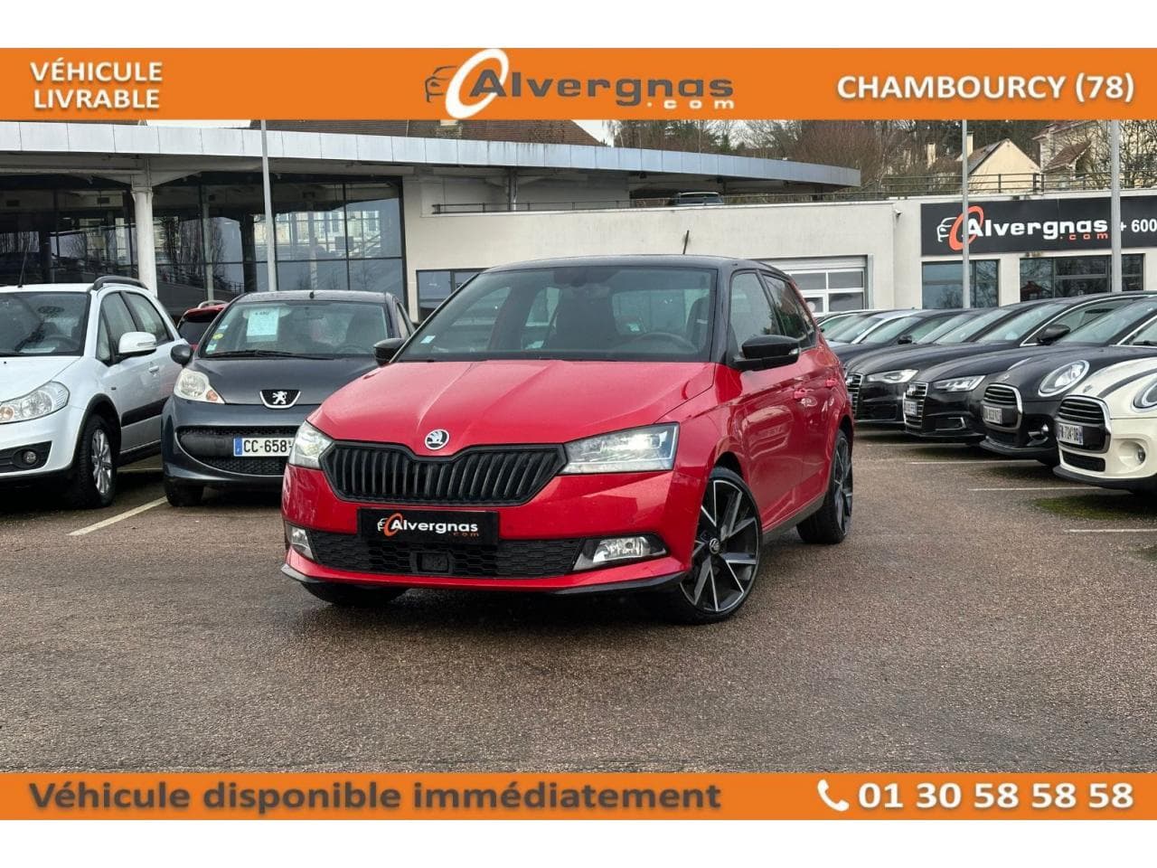 III (2) 1.0 TSI 110 MONTE CARLO