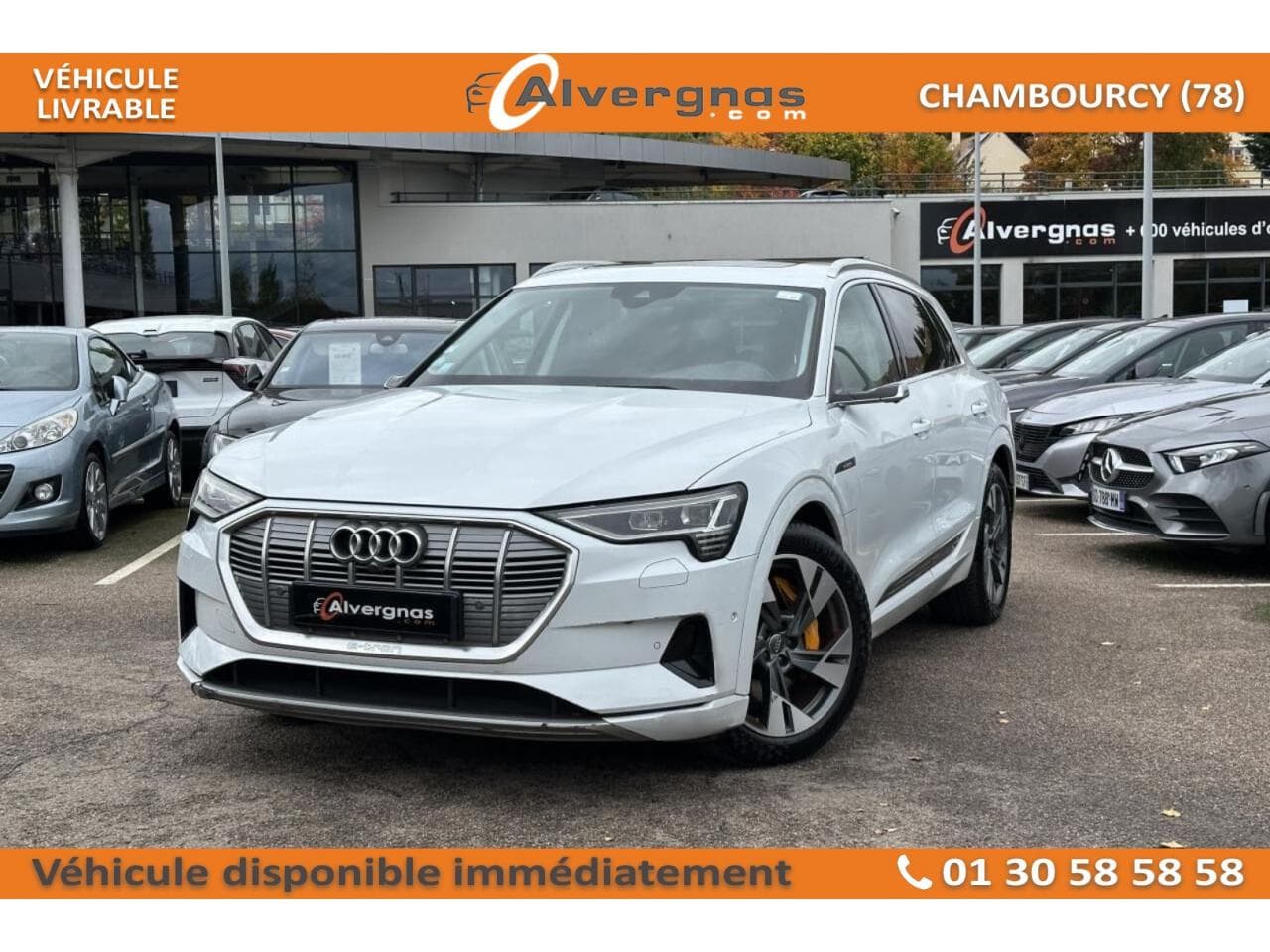 50 E-QUATTRO 313 AVUS