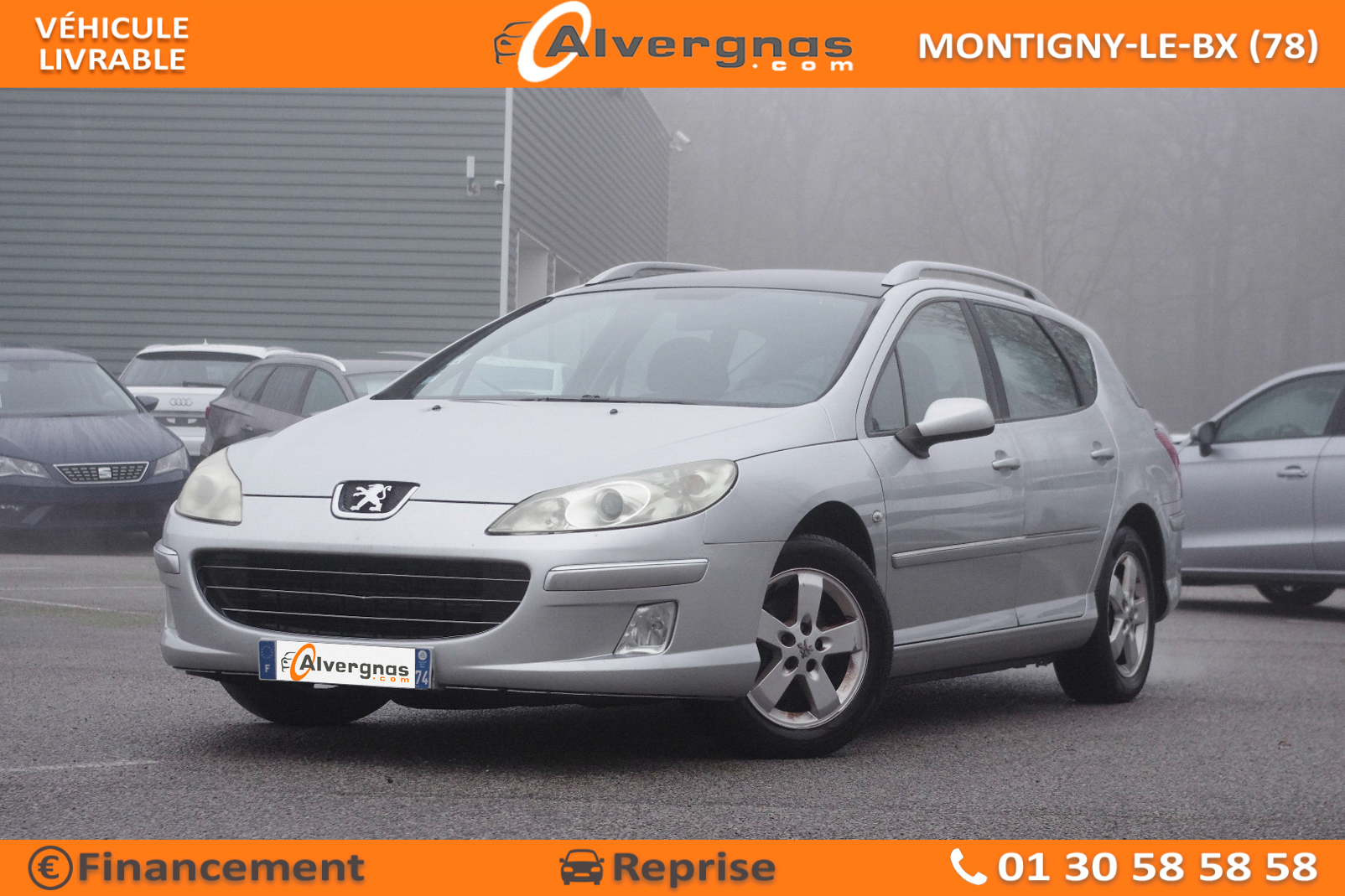 PEUGEOT 407 d'occasion sur Paris