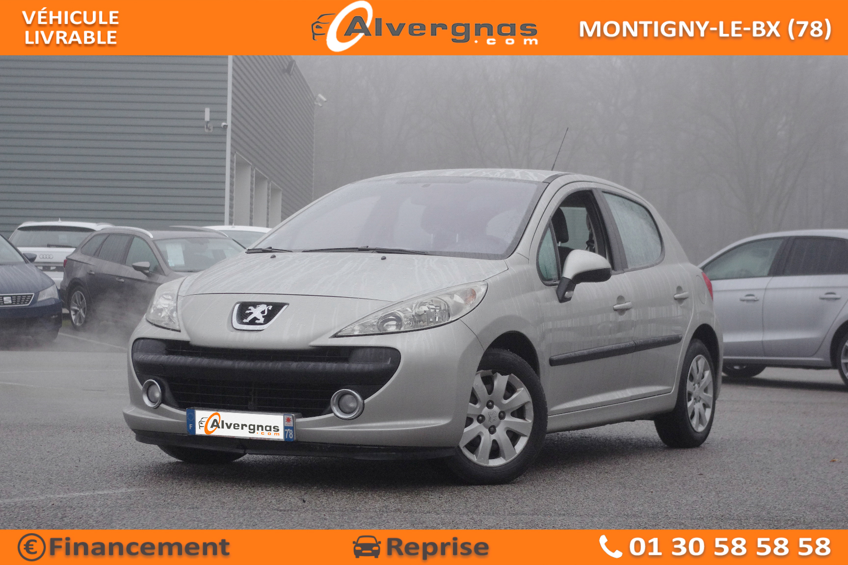 PEUGEOT 207 d'occasion sur Paris