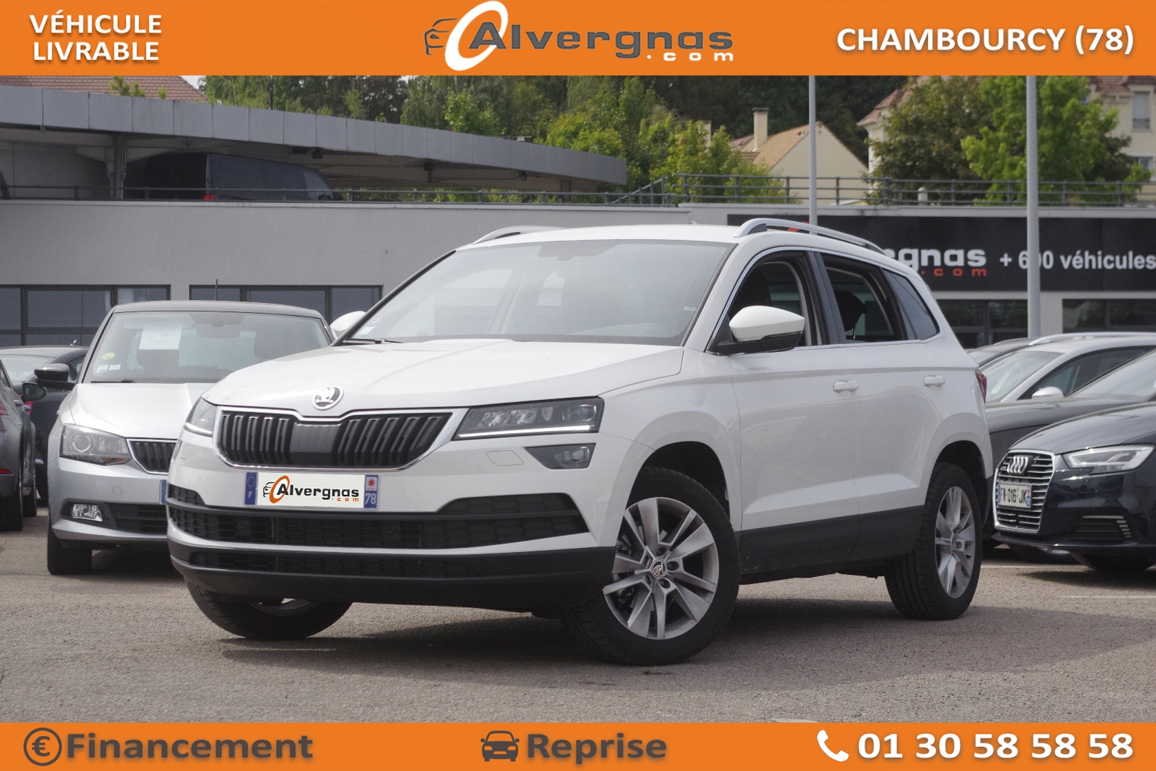 SKODA KAROQ d'occasion sur Paris