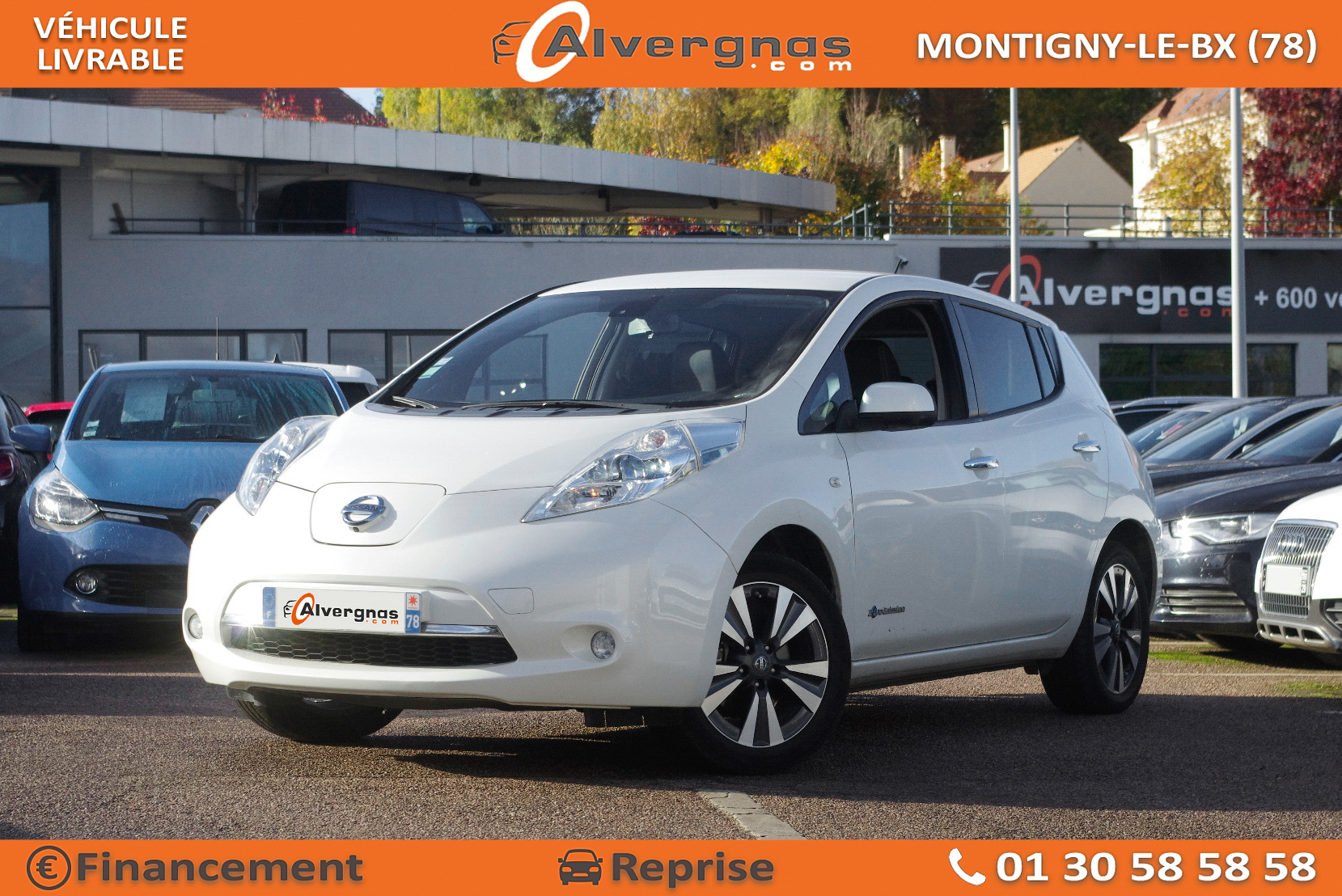 NISSAN LEAF d'occasion sur Paris