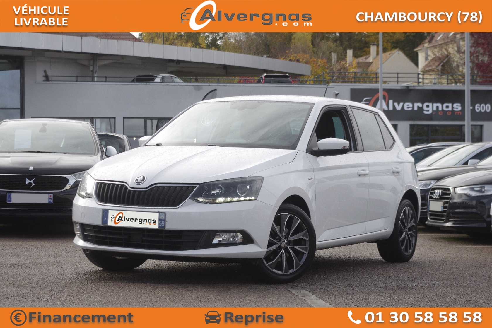 SKODA FABIA d'occasion sur Paris