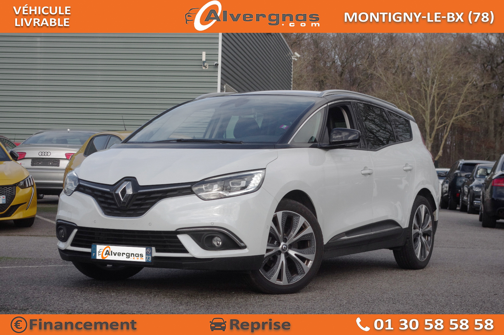 RENAULT GRAND SCENIC d'occasion sur Paris