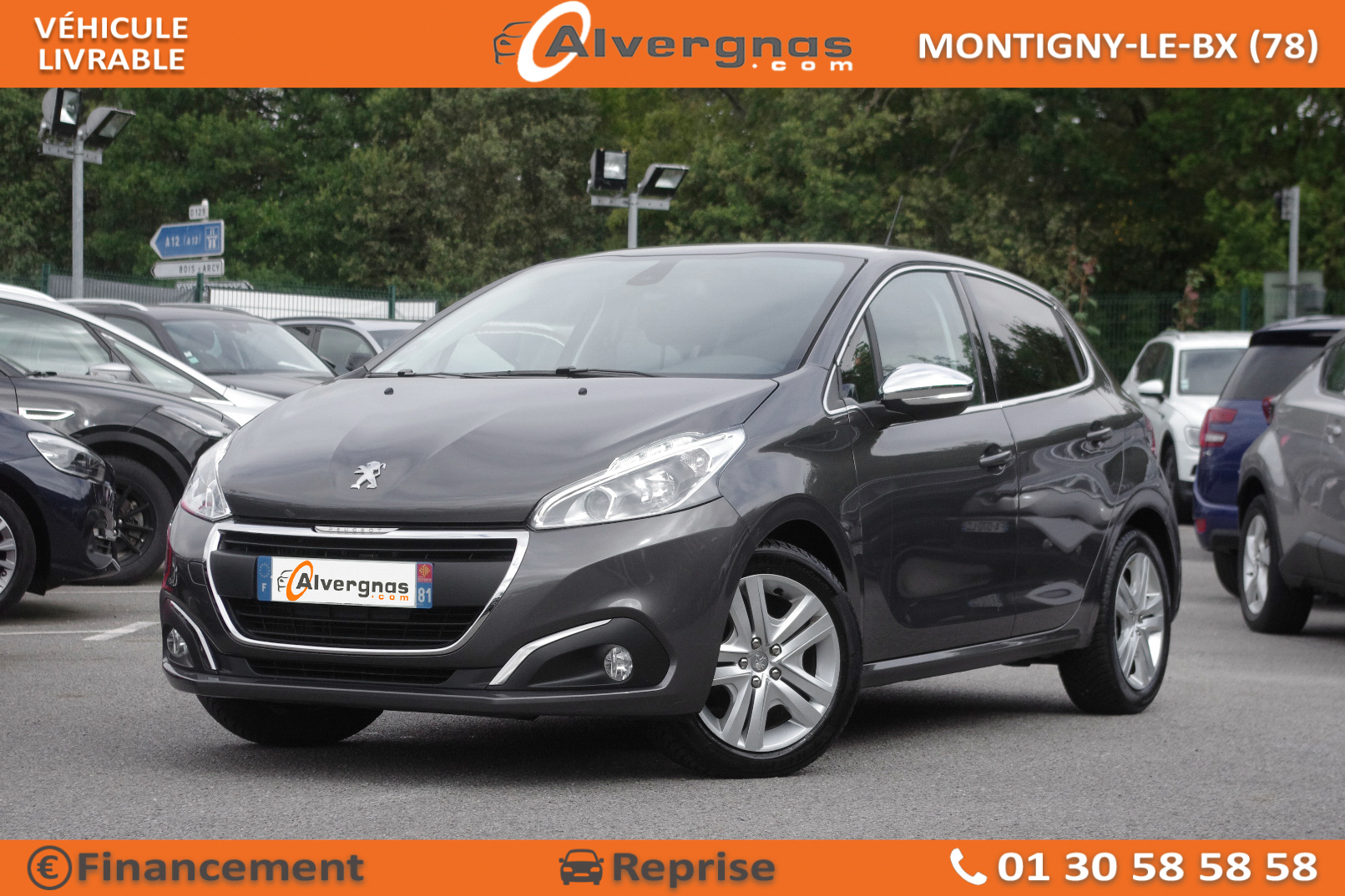 PEUGEOT 208 BUSINESS d'occasion sur Paris