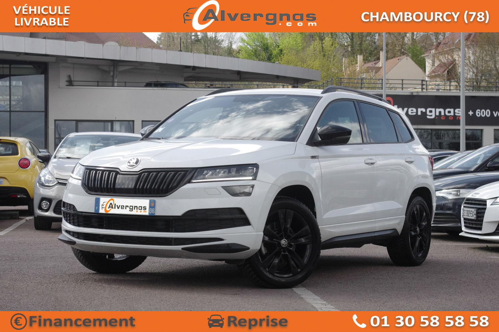 SKODA KAROQ d'occasion sur Paris