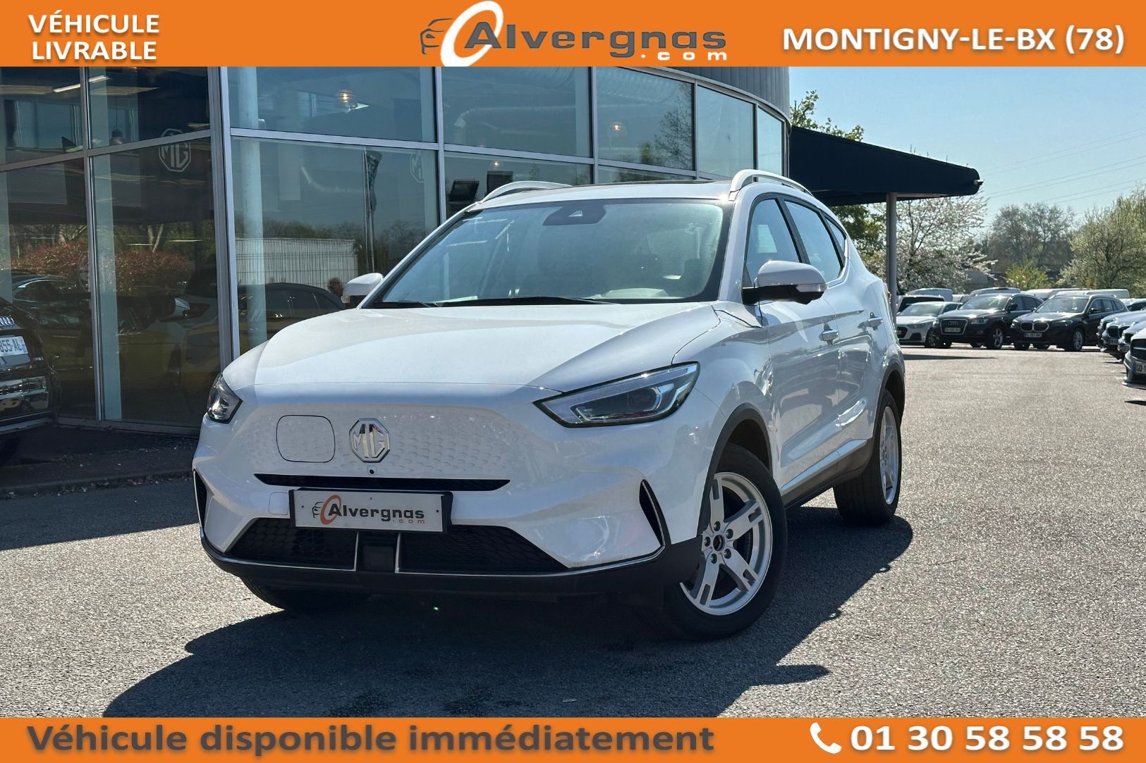 MG ZS d'occasion sur Paris
