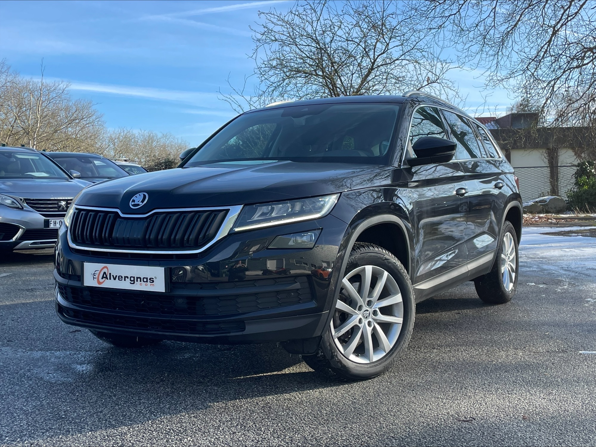 SKODA KODIAQ d'occasion sur Paris