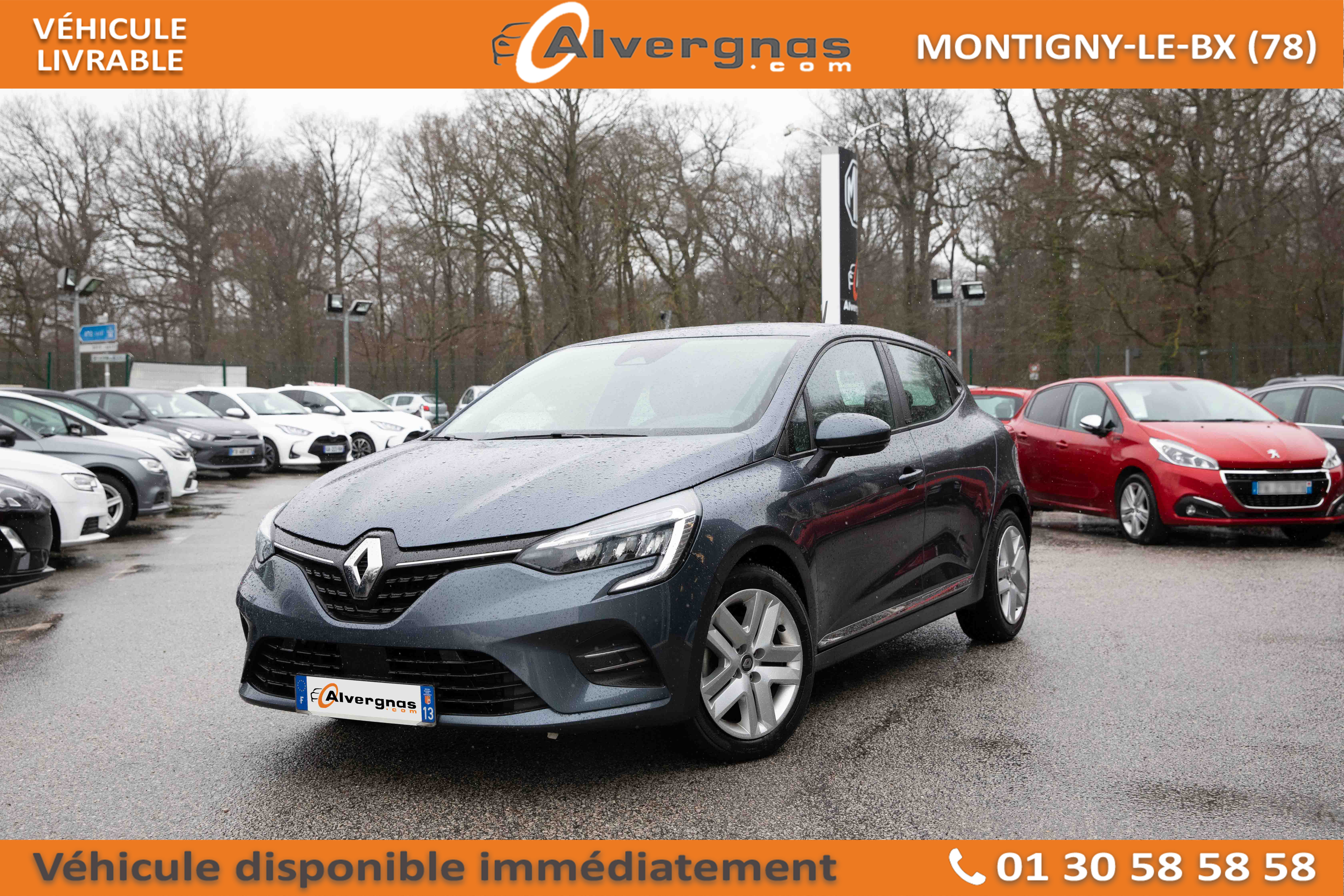 RENAULT CLIO d'occasion sur Paris