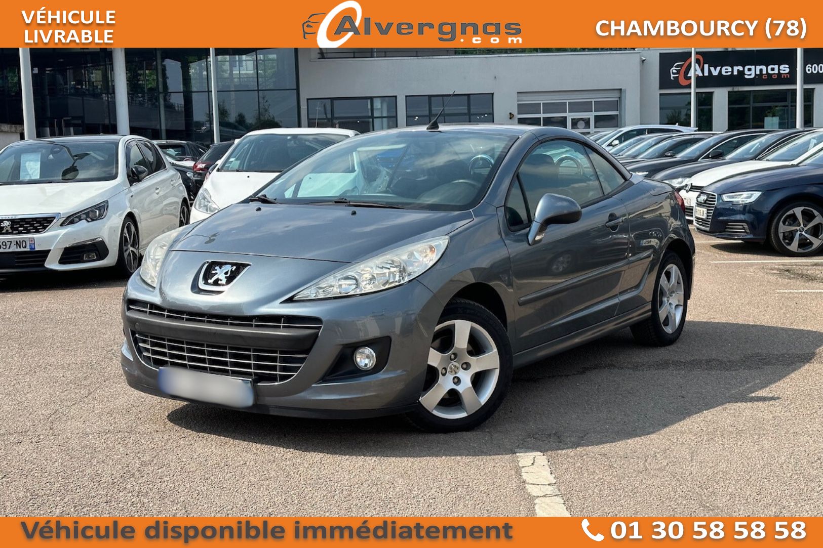 PEUGEOT 207 d'occasion sur Paris