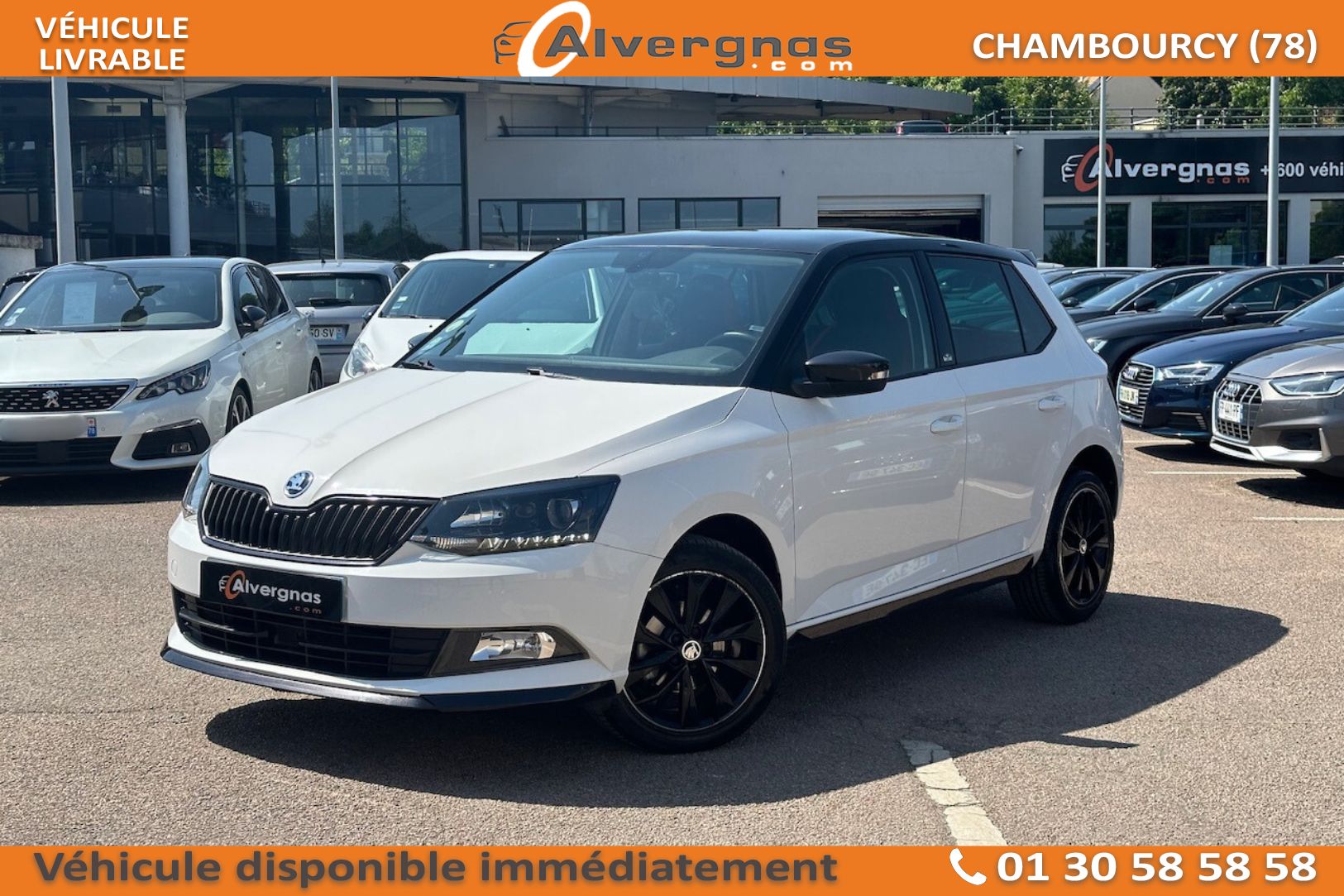 SKODA FABIA d'occasion sur Paris
