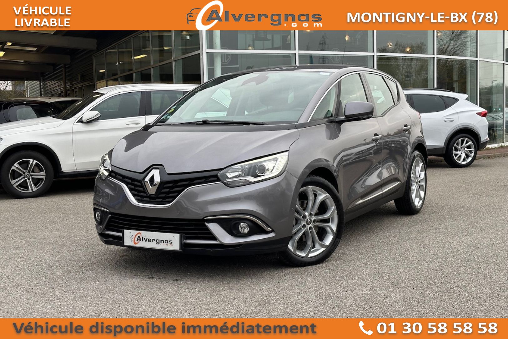 RENAULT SCENIC d'occasion sur Paris