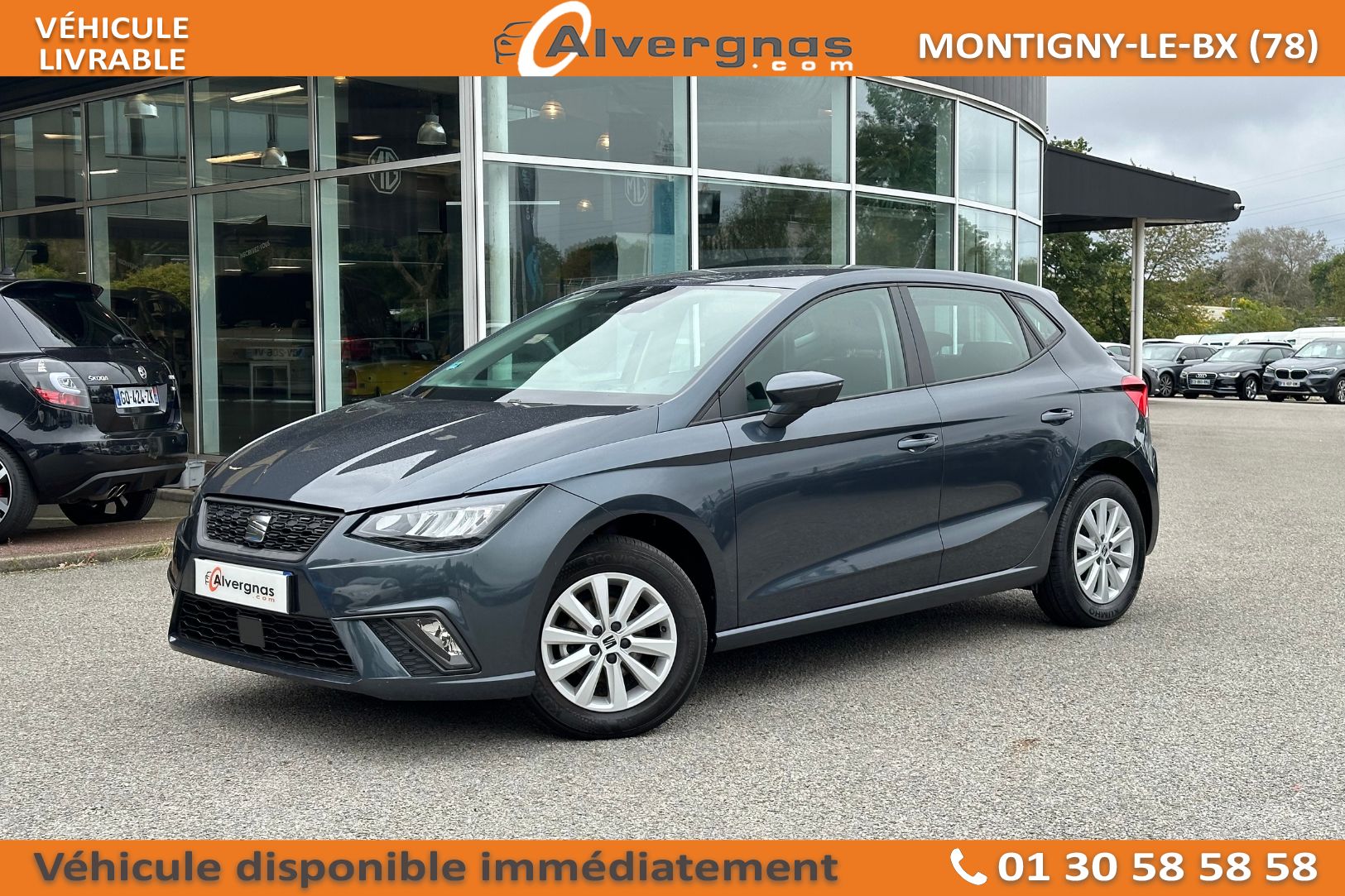 SEAT IBIZA d'occasion sur Paris