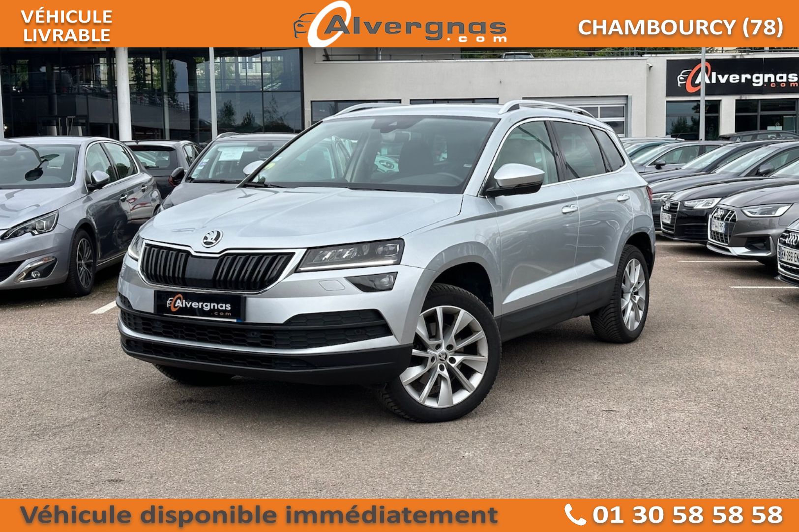SKODA KAROQ d'occasion sur Paris