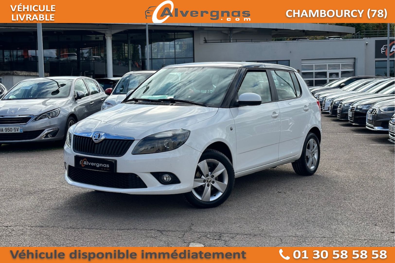 SKODA FABIA d'occasion sur Paris