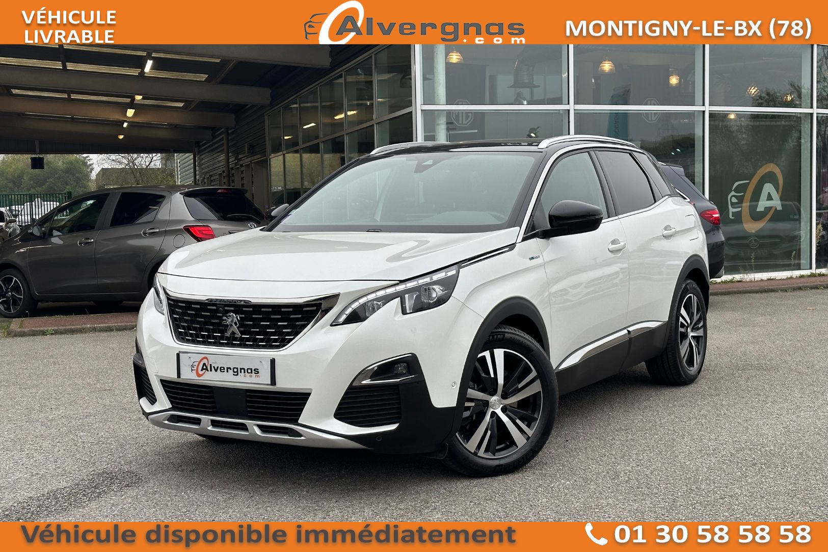 PEUGEOT 3008 d'occasion sur Paris