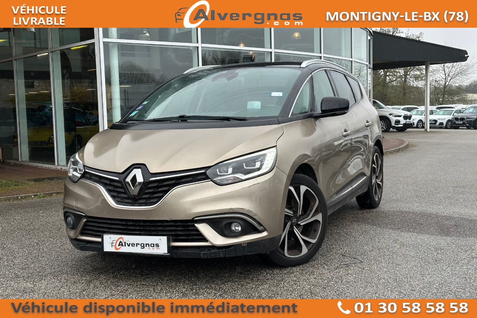 RENAULT GRAND SCENIC d'occasion sur Paris