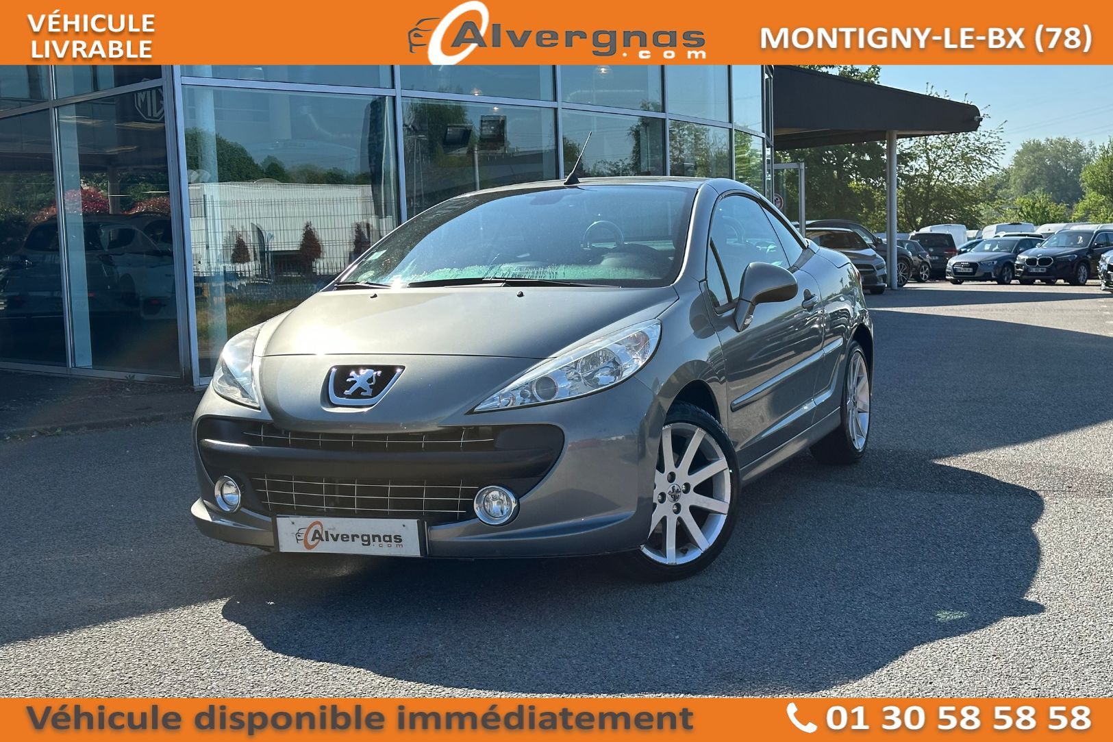 PEUGEOT 207 d'occasion sur Paris