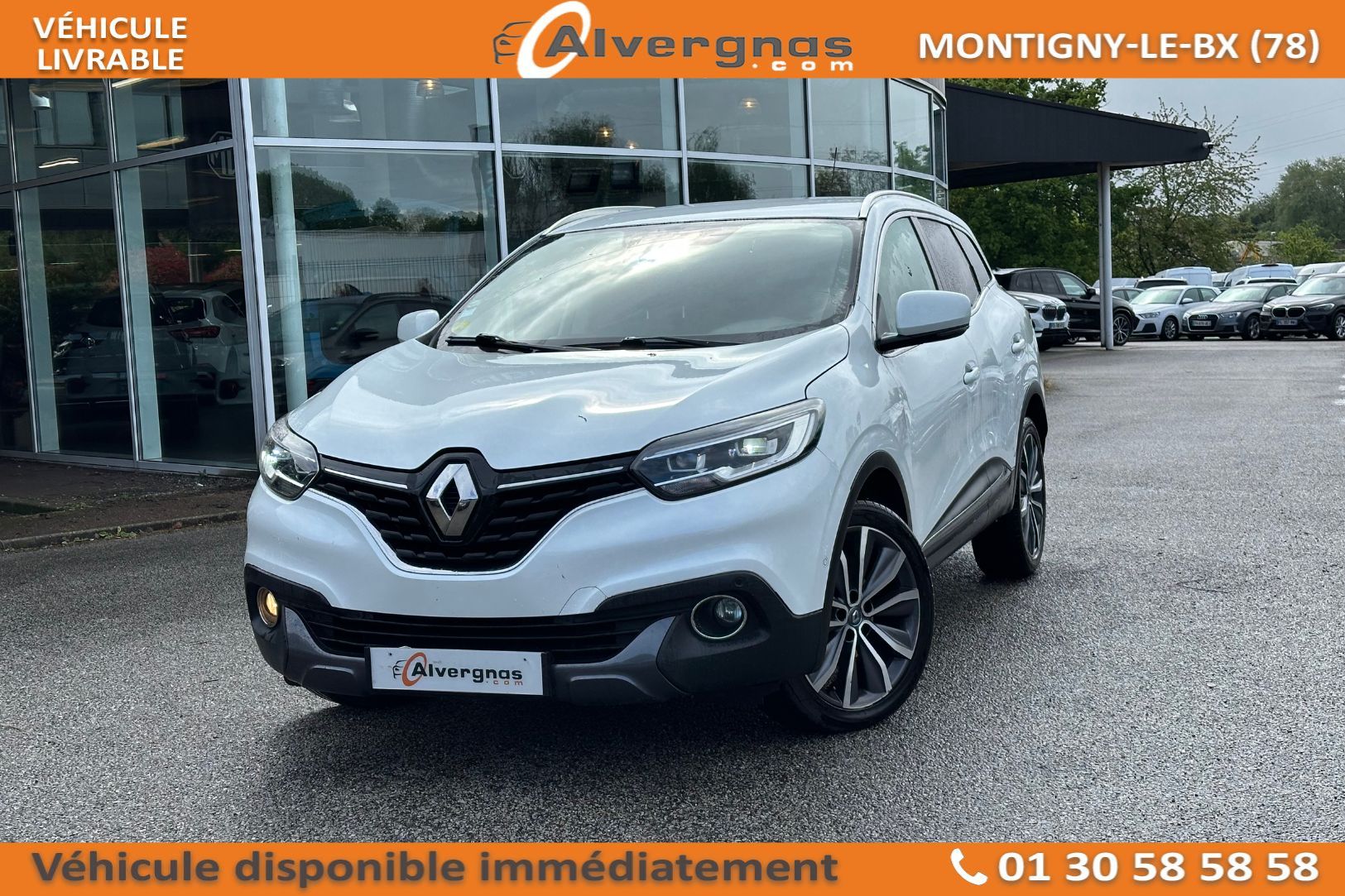 RENAULT KADJAR d'occasion sur Paris