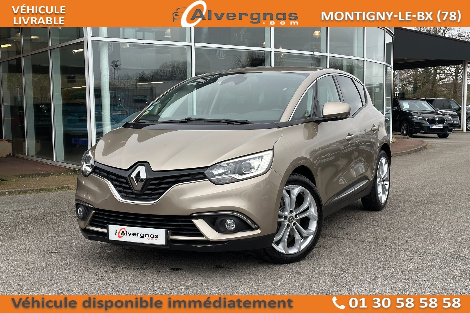 RENAULT SCENIC d'occasion sur Paris