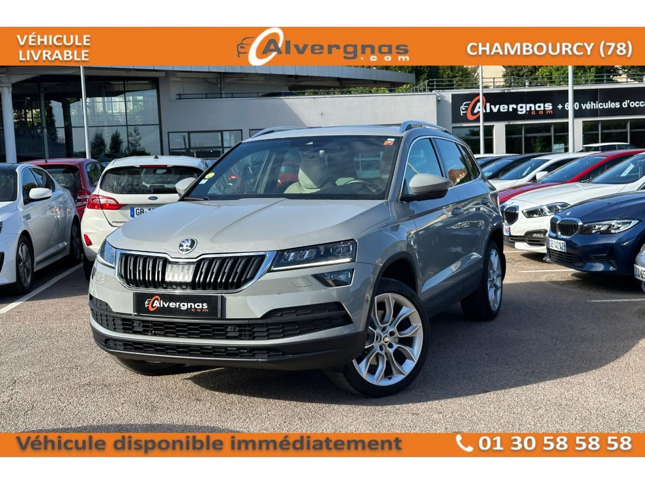 SKODA KAROQ d'occasion sur Paris